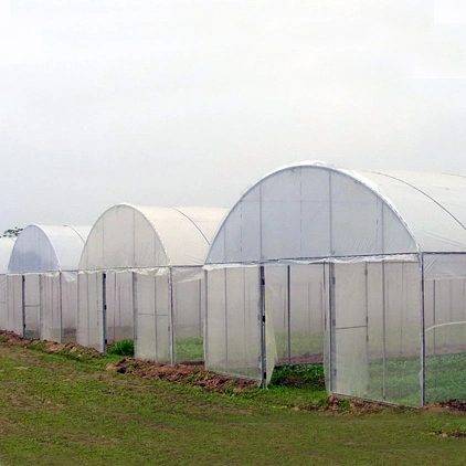 2023 Low Cost Landwirtschaftliche Polytunnel Gewächshaus für Gemüse