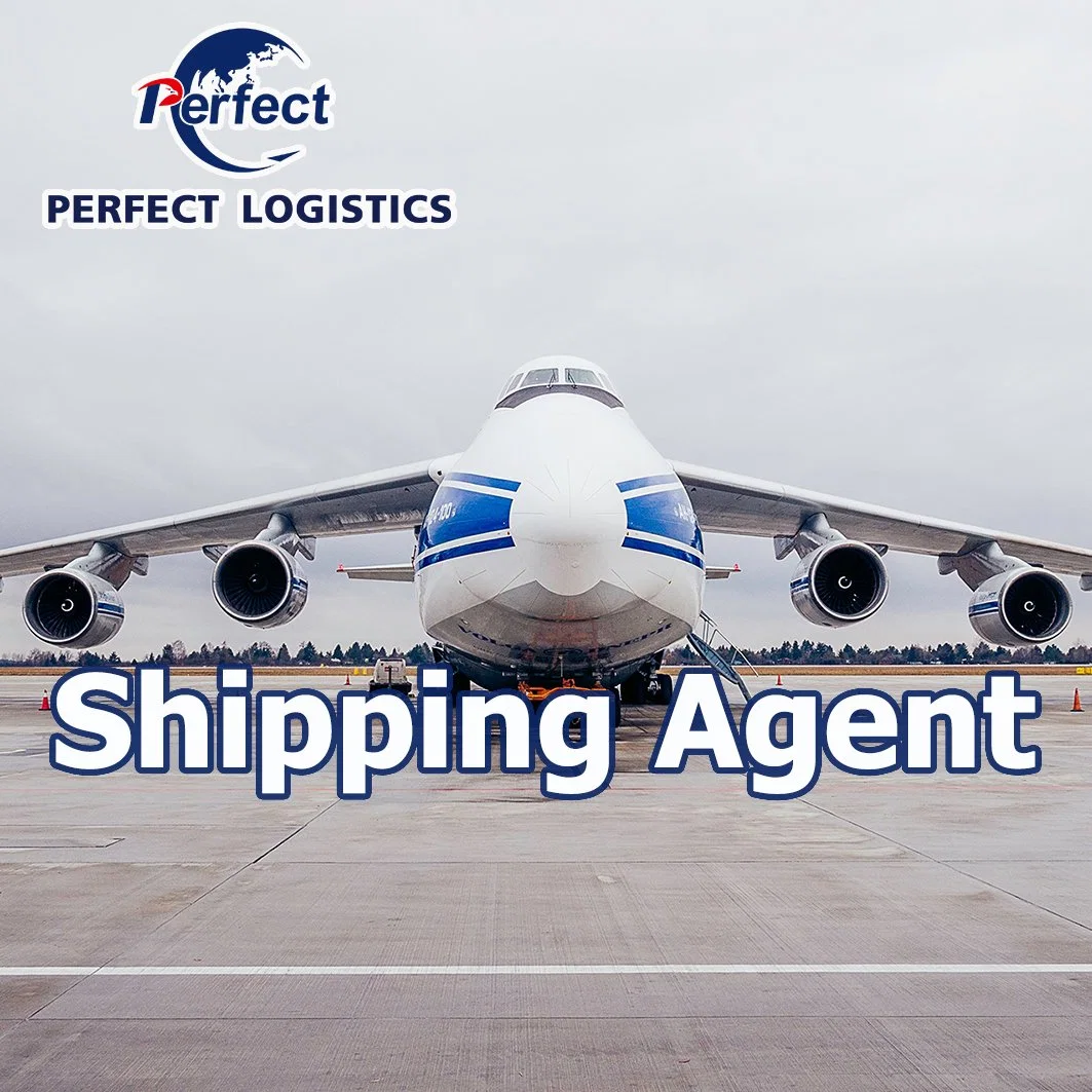 Ocean Shipping Fowarding Agent From China to Canada/USA/Vancouver/Toronto