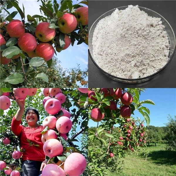 Plant Growth Retardant Tiba Powder Triiodobenzoic Acid Uses