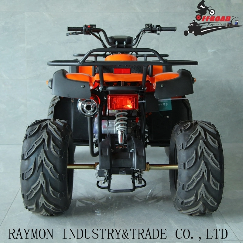 Stylish High Power 150cc/200cc Quad Bikes ATV for Sale, 250cc Air-Cooling UTV