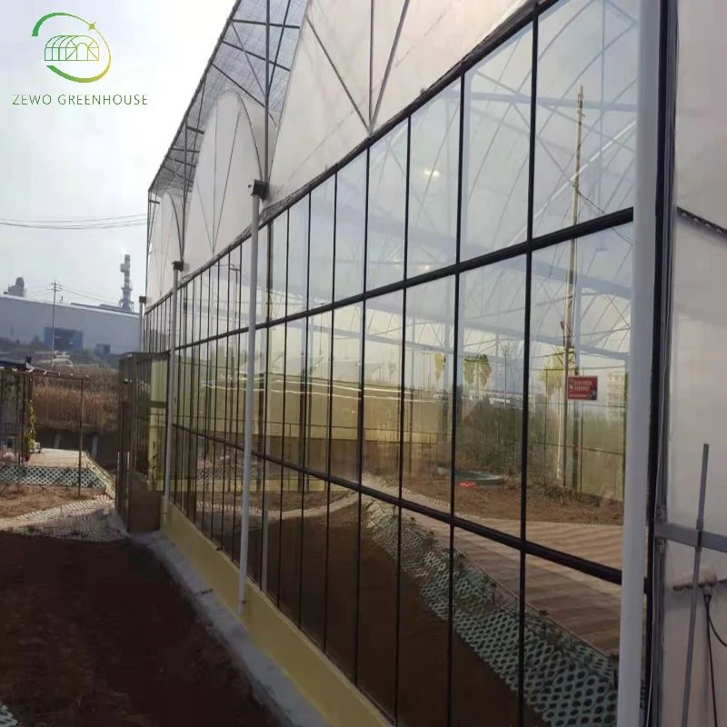 Modern Ecological Multi-Span Glass Greenhouse with Hydroponic System for Vegetable Cultivation