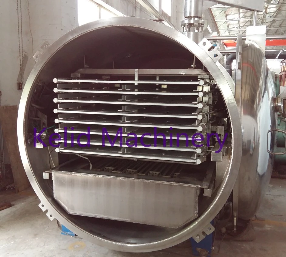 Industrial Sring Fish Cod Salmon Skin Lyophilizer Fish Meat Vacuum Freeze Dryer Machine