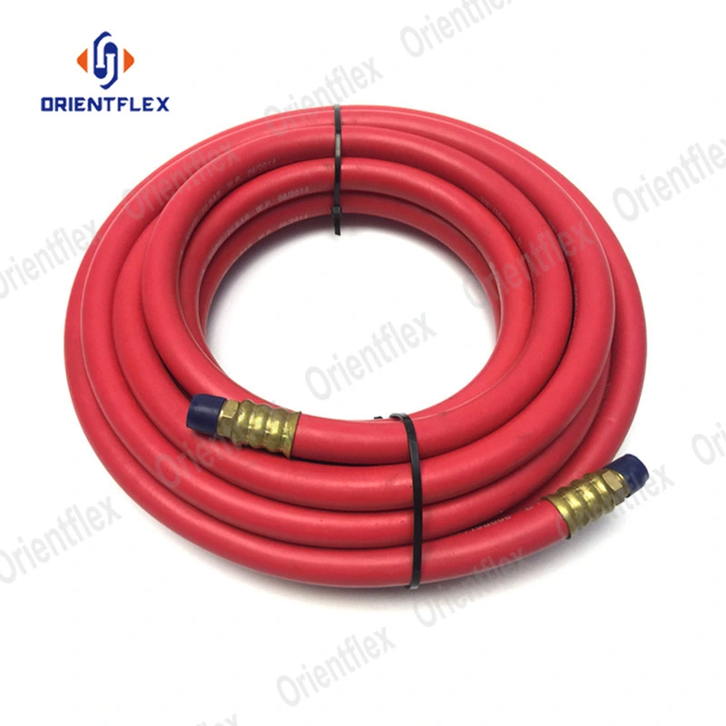 Replacement Propane Custom Barbecue Gas Grill Extension Rubber LPG/Propan/Gas Supply Hose