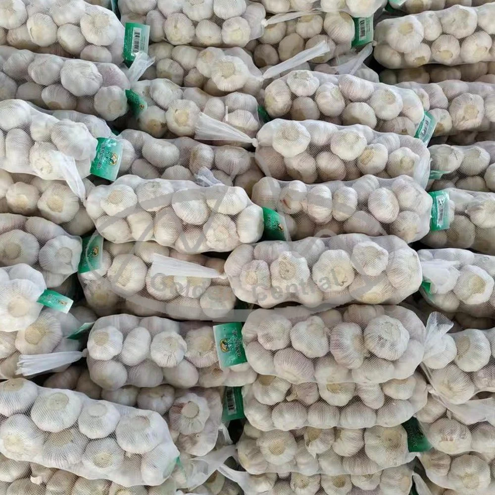 China Hot Sale Fresh Garlic 200g Pack, Normal White Garlic