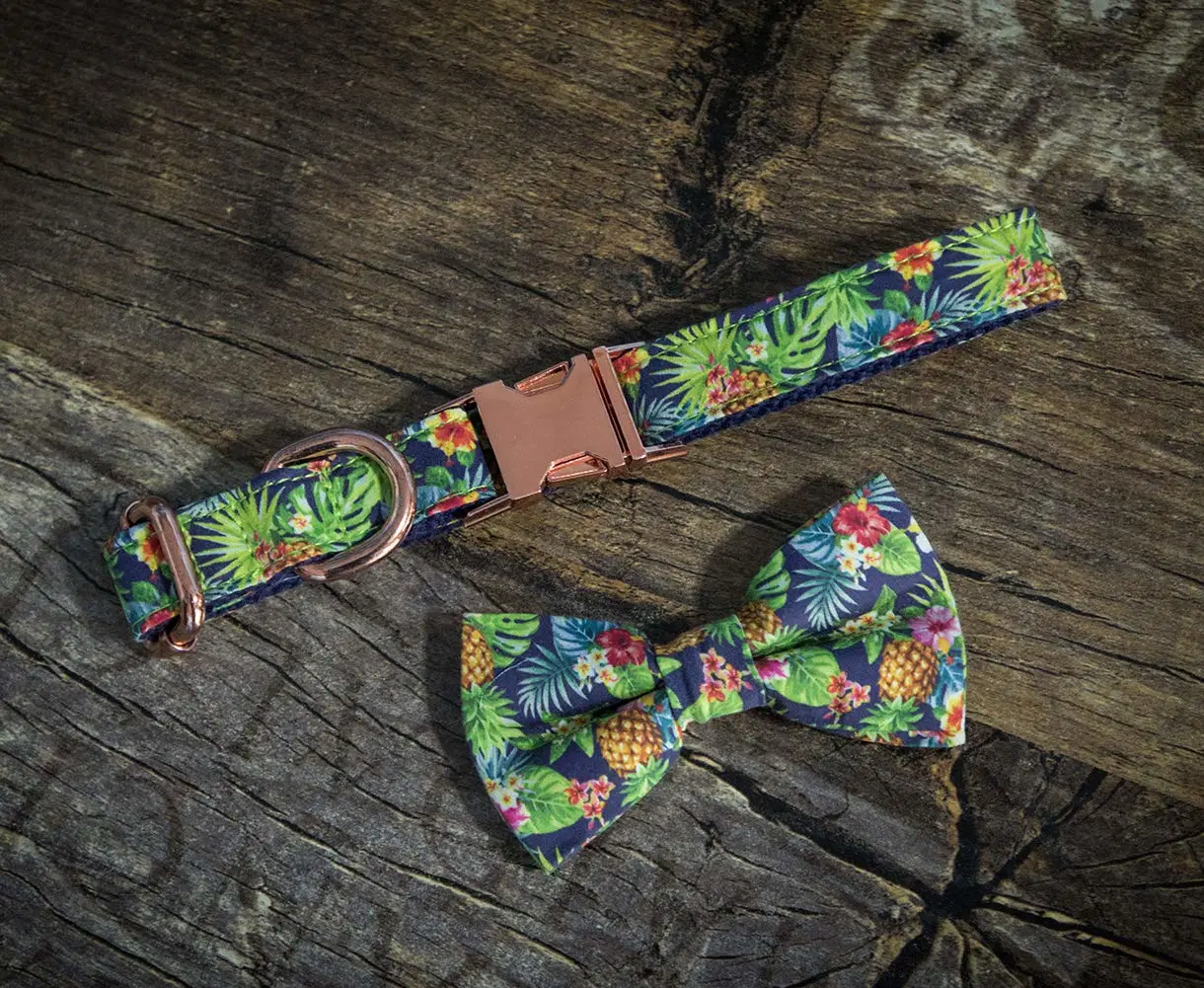 Stylish Custom Print Detachable Bow Tie Cat and Dog Collar