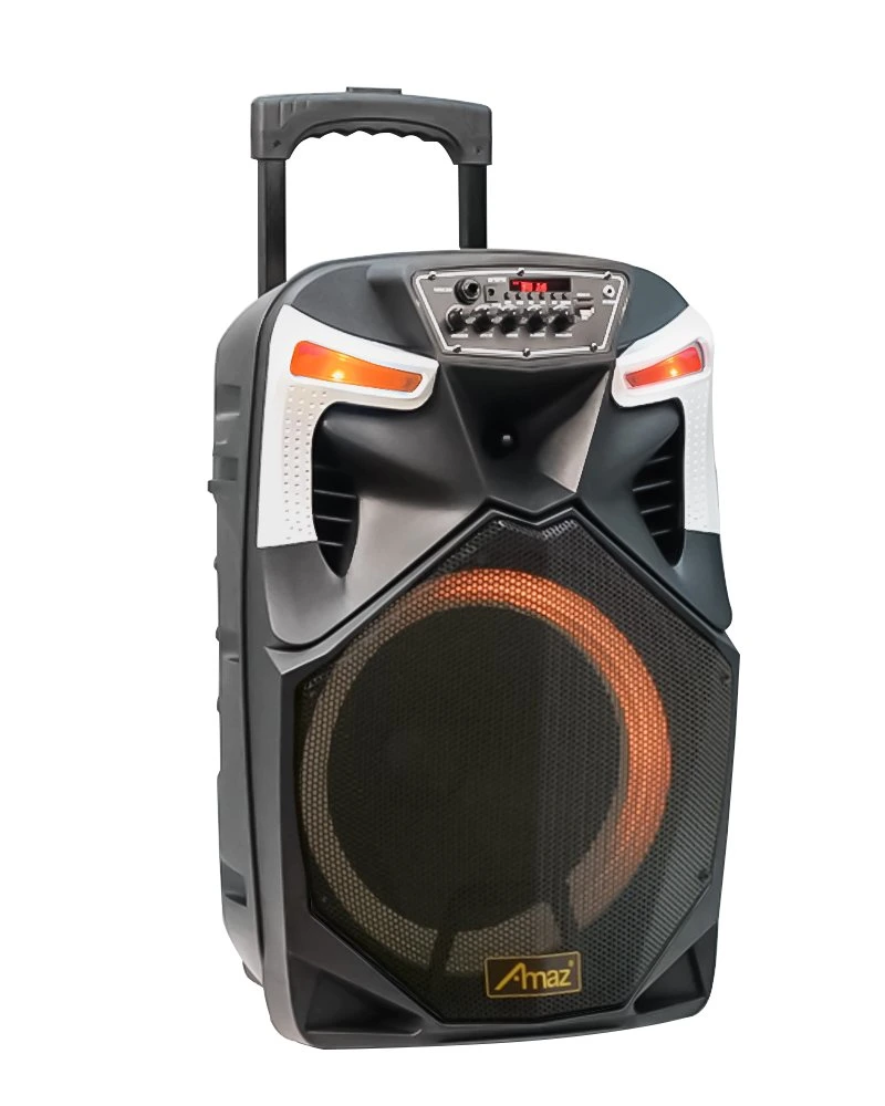 Powerful 12 Inch Wireless Sound Box Bluetooth Trolley Speaker