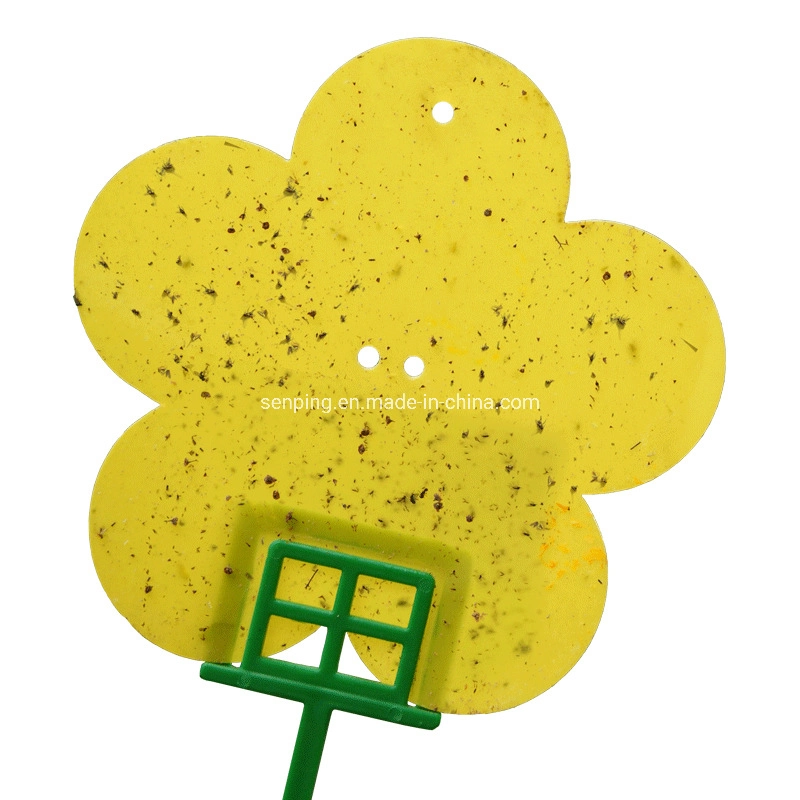 Yellow Fruit Fly Traps Indoor Sticky Glue Trap Gnat Killer for Kitchen House Outdoor Plant Fly Paper Flying Insect Flying Insect Trap