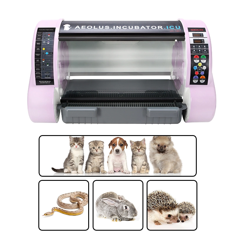 2021 Hot-Selling Automatic Pet Incubator for Pet ICU, Dog Incubators