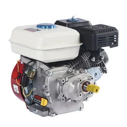 China Popular Small Air-Cooled Gasoline Engine with Good Quality for Pakistan