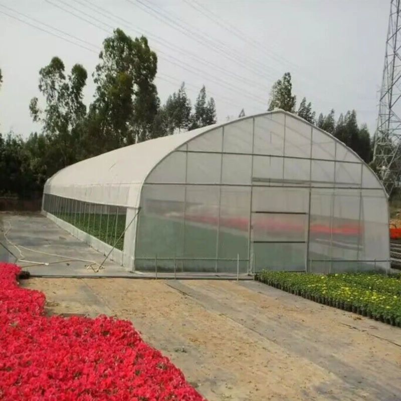 High-Quality Greenhouse with Galvanized Steel Frame and Innovative Processing Techniques