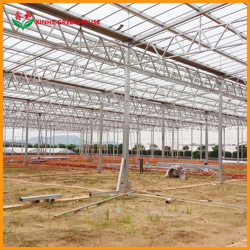 150 Micron Plastic Film Greenhouse with Shading System