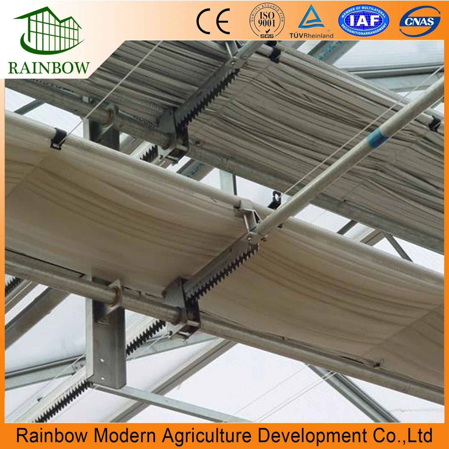 Ecological Agriculture Steel Structure Frame PE Film Greenhouse