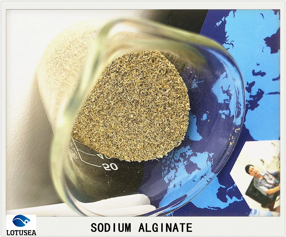 Industrial Sodium Alginate for Textile Use 150 Mesh 3% 500cps