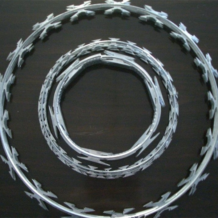 Concertina Barbed Tape Wire for Security and Protection