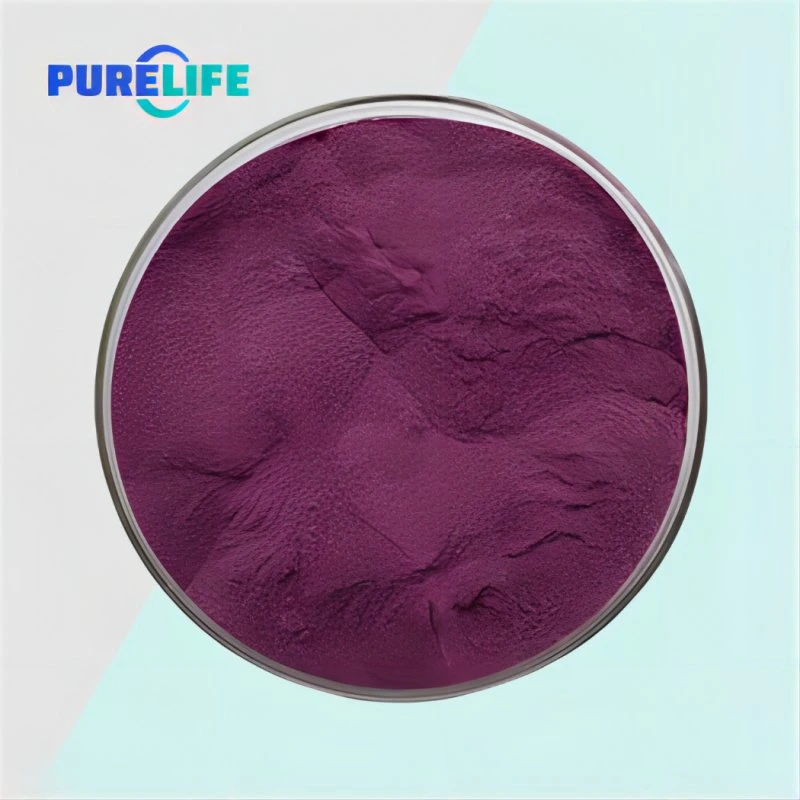 Pure Natural Freeze Dried Berry Fruit Black Aronia Chokeberry Extract Powder