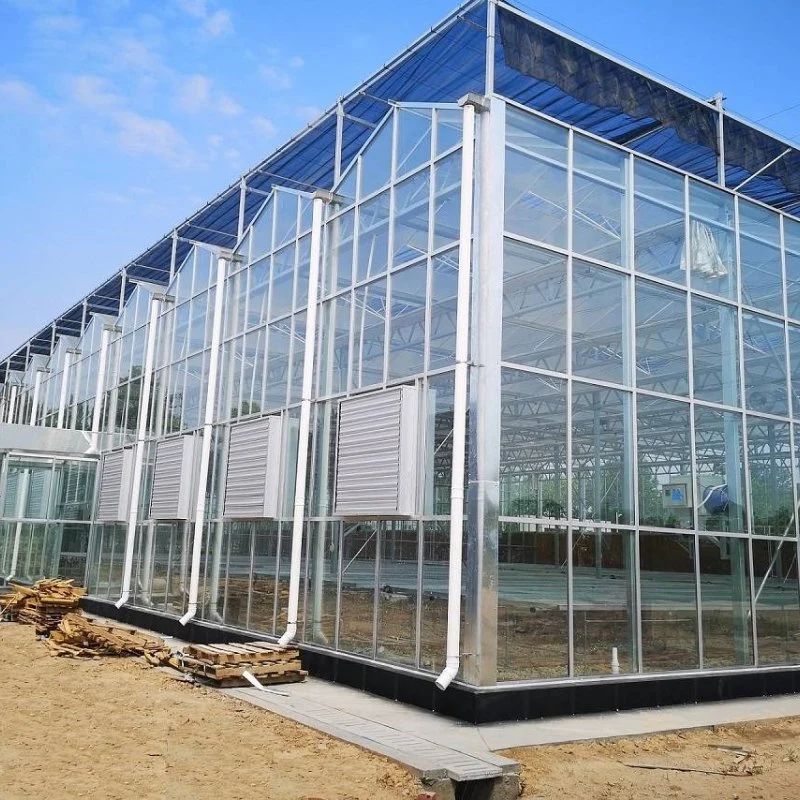 Advanced Agricultural Glass Green House with Automated Control System