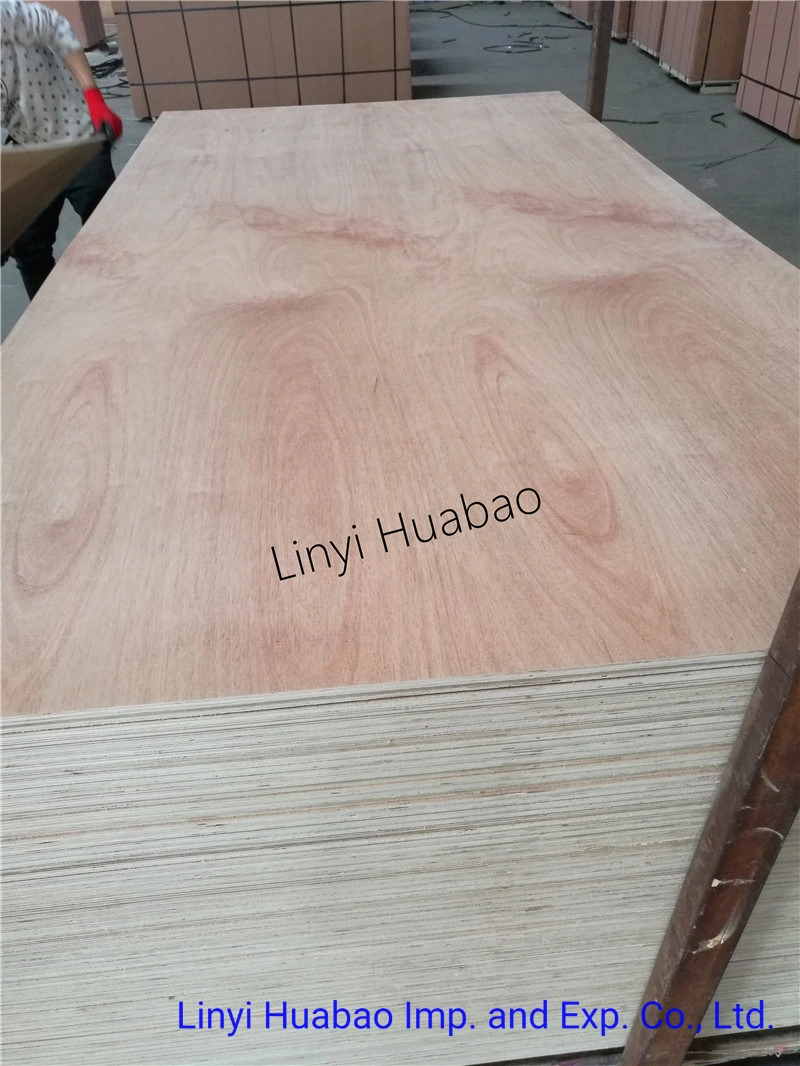 Construction Marine Film Faced Plywood, Melamine Plywood, Commercial Pine Plywood