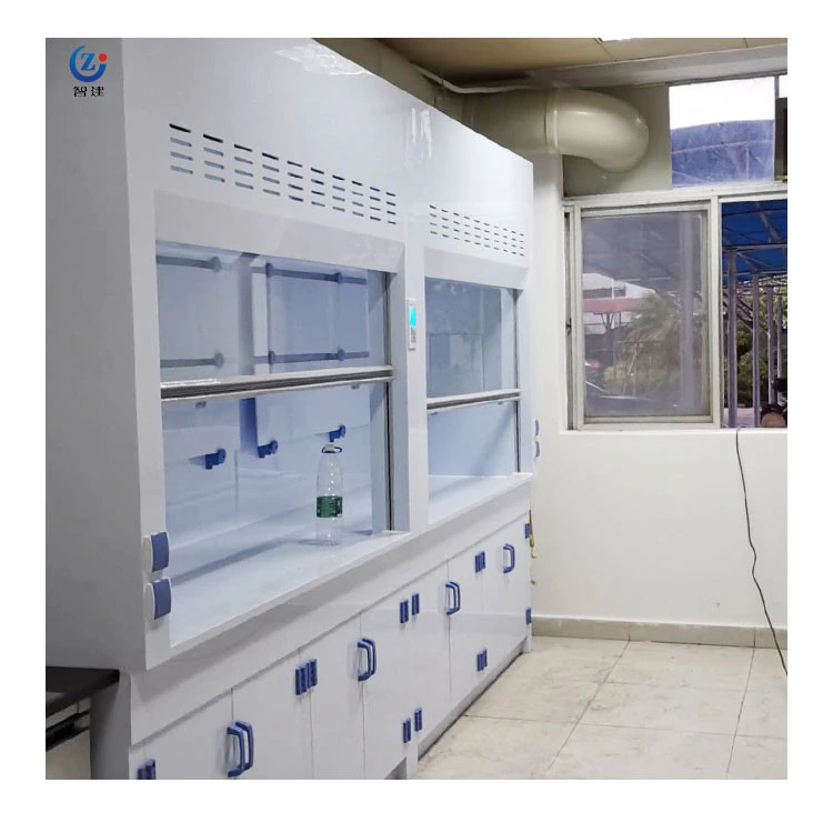 Biobase Laboratory Chemical Fume Hoods Fh1200 with Suppliers