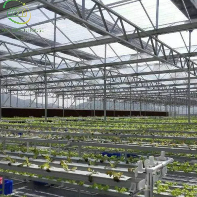 Soiless Cultivation Hydroponics Growing System for Green Leaf Vegetables