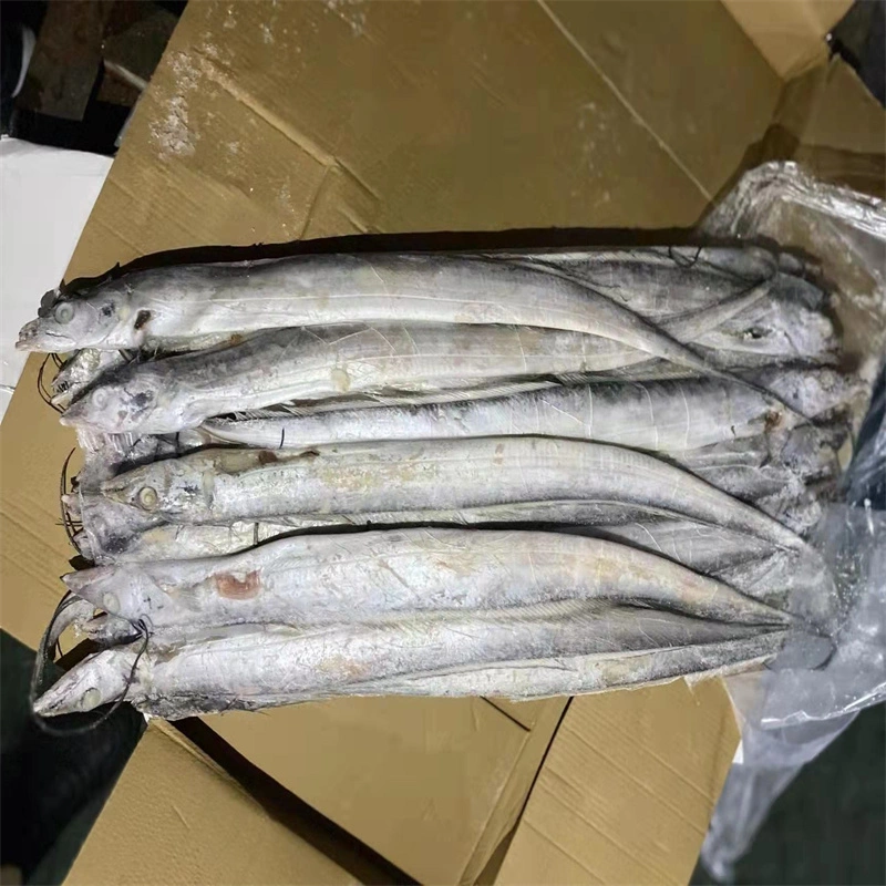 Wholesale/Supplier Price Hairtail Fish Land Frozen Ribbon Fish