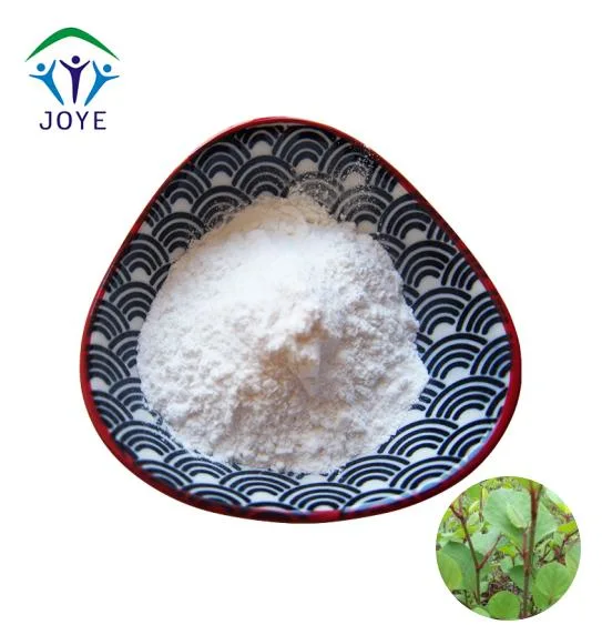 CAS 501-36-0 Resveratrol 98% Polygonum Cuspidatum Extract Resveratrol 98%