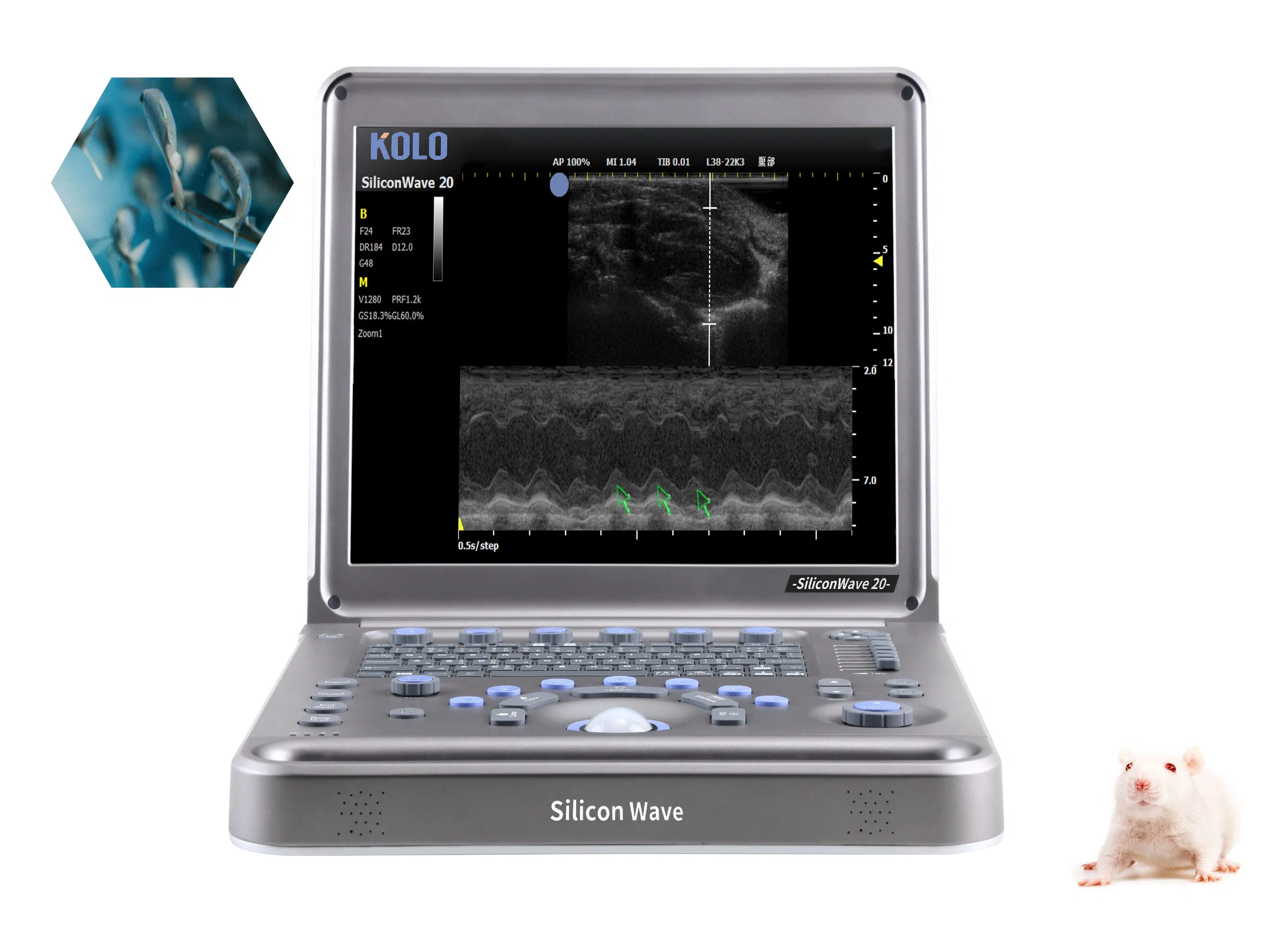 Pw Mode Portable Ultrasound Scanner for Animal Research