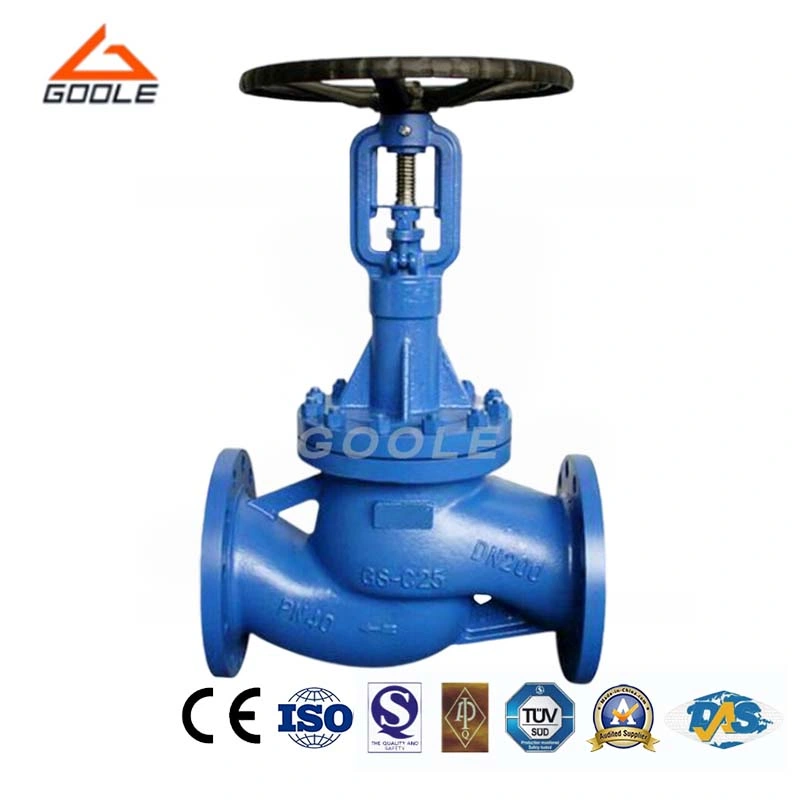 DIN/En Long Stem Bellow Seal Globe Valve (GAJ41H)