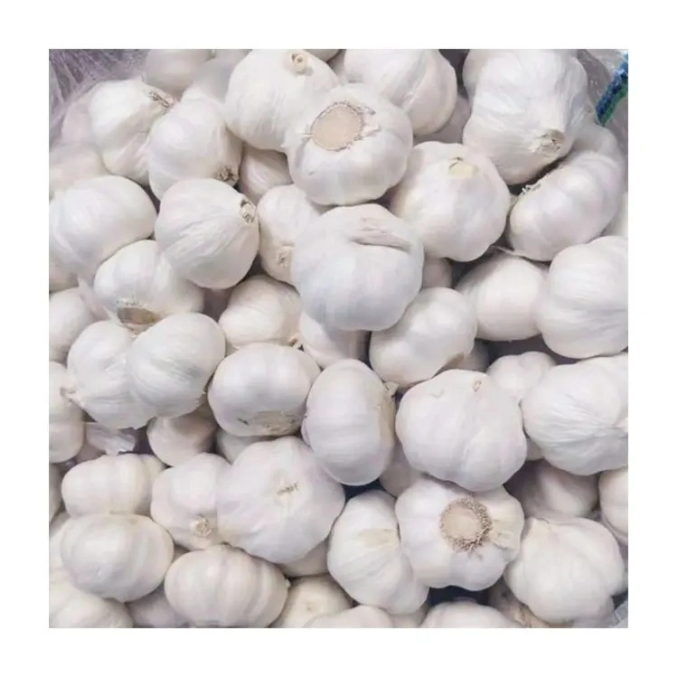 Garlic Fresh Normal White Garlic High quality/High cost performance  New Crop Mesh Net Bag China Suppliers