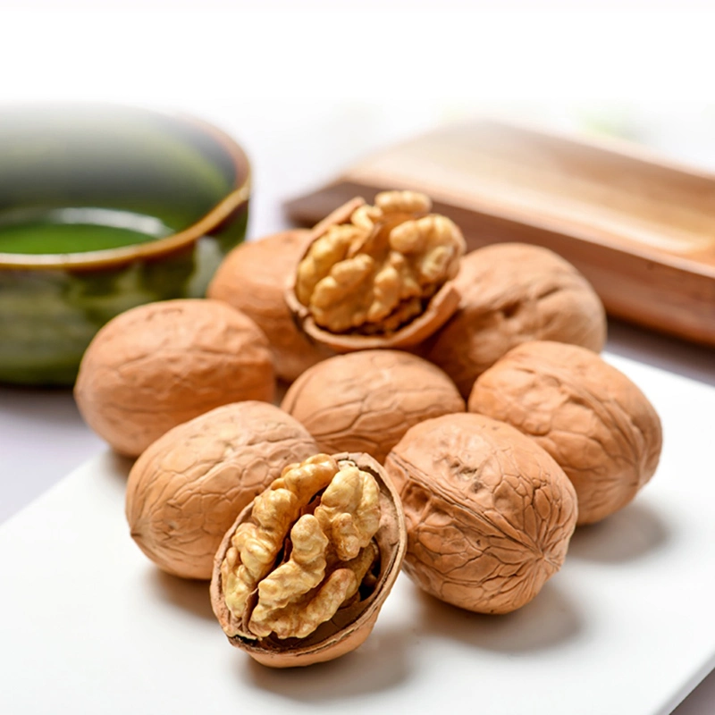 Dried Nuts Delicious Xinjiang Origin Walnut with Shell