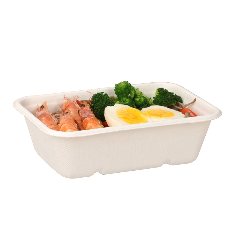 Plastic-Free 100% Compostable Healthy Natural Plant Fiber 550ml Rectangular Sushi Box Snack Box Cake Box Salad Box Food Storage Container with Lid