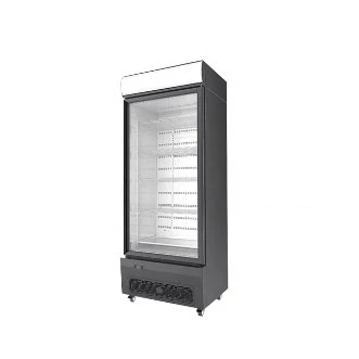 Commercial Refrigerator / Display Glass Door Fridge / Commercial Fridge