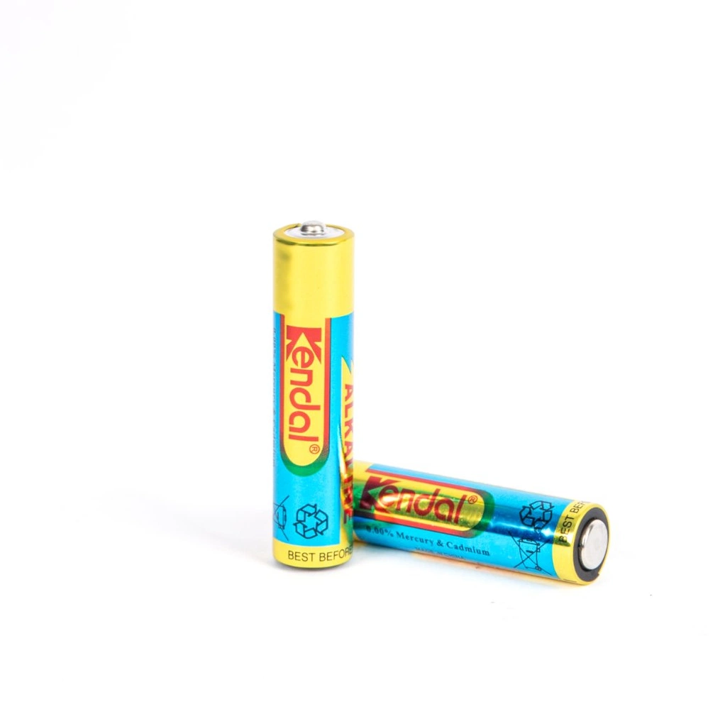 Lr6 Alkaline Battery 1.5V AA Battery From China Dry Cell