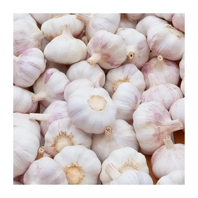 Red Garlic Newest Crop Normal White Garlic High quality/High cost performance Wholesale/Supplier 25g Net Bag