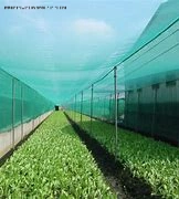 Wholesale/Suppliergarden Netting, Ultra Fine Garden Mesh Netting Greenhouse Protection Net, Reusable Plant Covers for Protect Vegetables Fruits Plant Flower Crop Screen