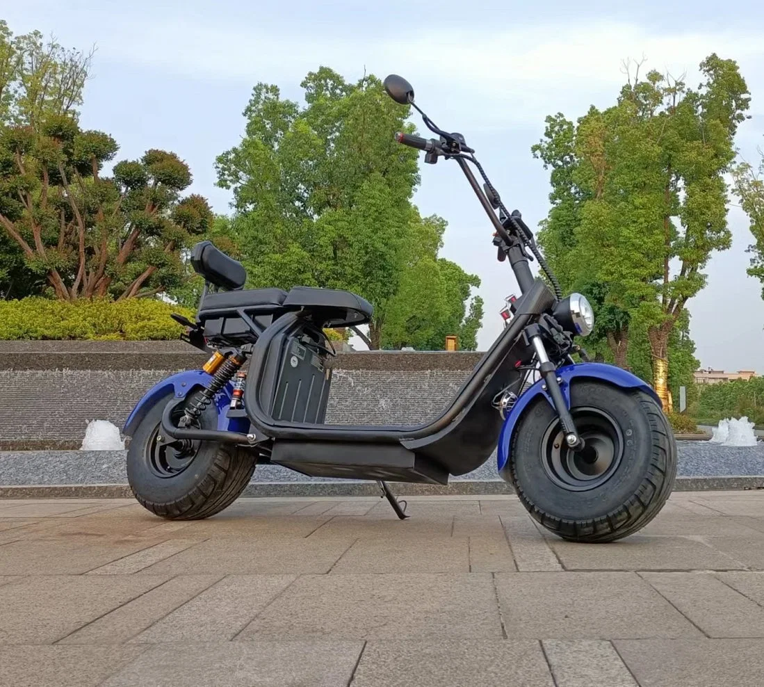 2 Rad EWG CE-Zertifizierung 2000W Erwachsene Smart Elektro-Motorrad Citycoco-Fahrrad