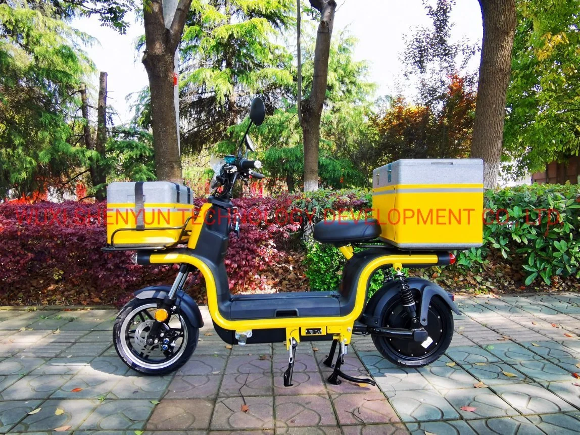 Syev Take-out Electric Motorcycle/Scooter 72V20ah Lead-Acid Battery 800W Motor