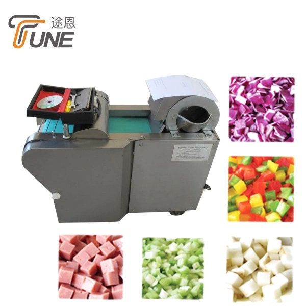 Multi-Function Automatic Stainless Steel Fruit Vegetable Cutting Machine