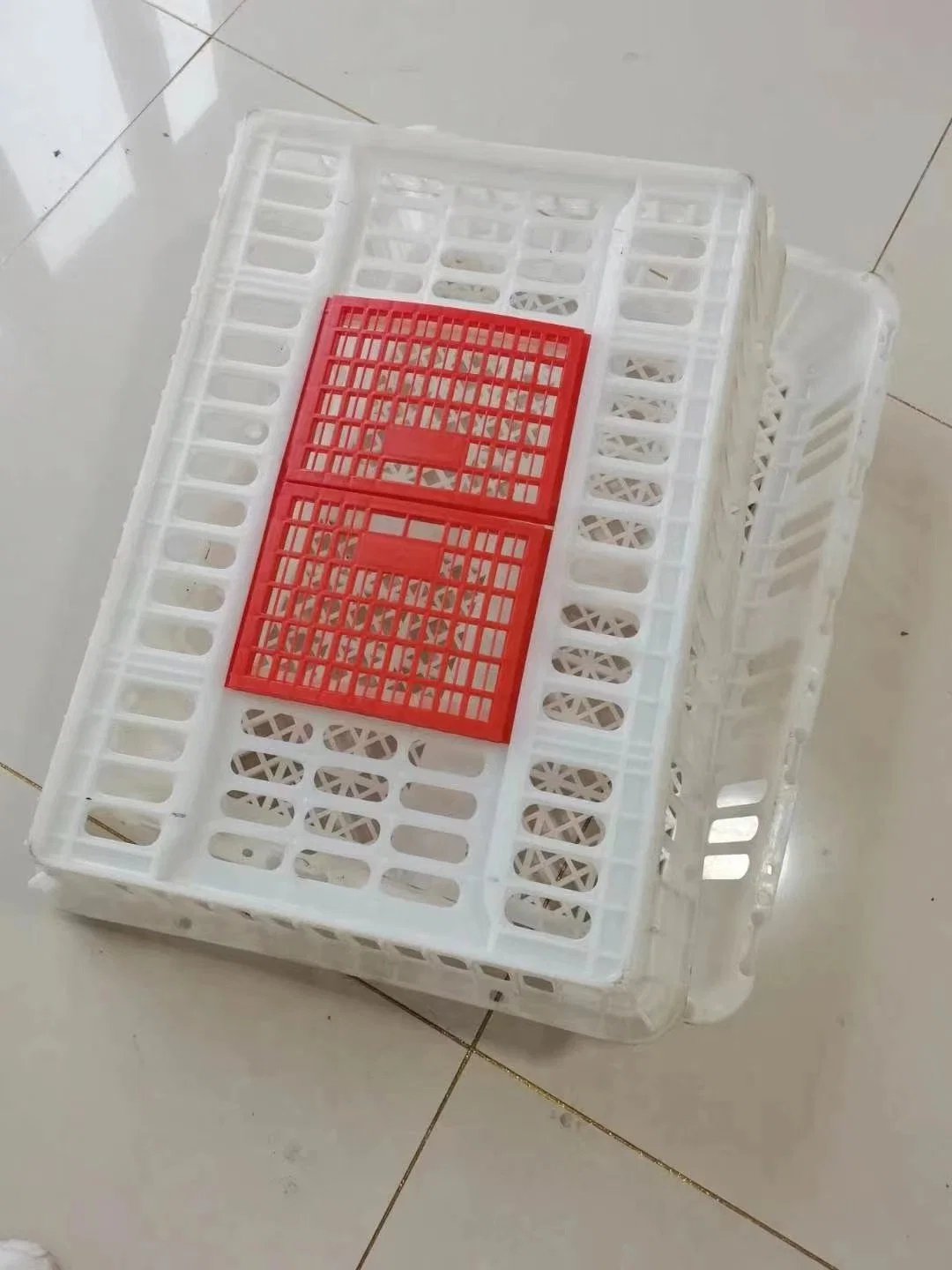 Colorful PE Raw Material Large Transport Basket Crate Box for Poultry Live Chicken Duck