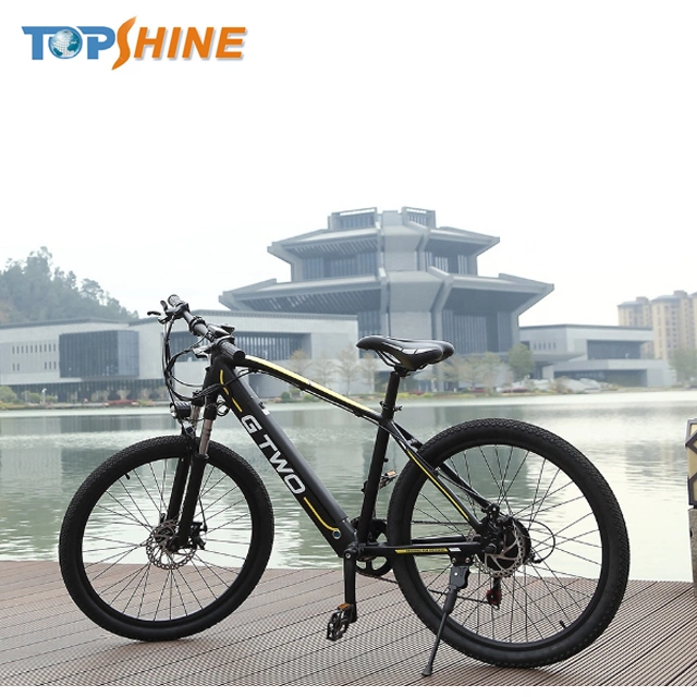 250W 36V Mountain Electric Bike with CE En15194 Certificate and GPS Colorful Odometer E Message