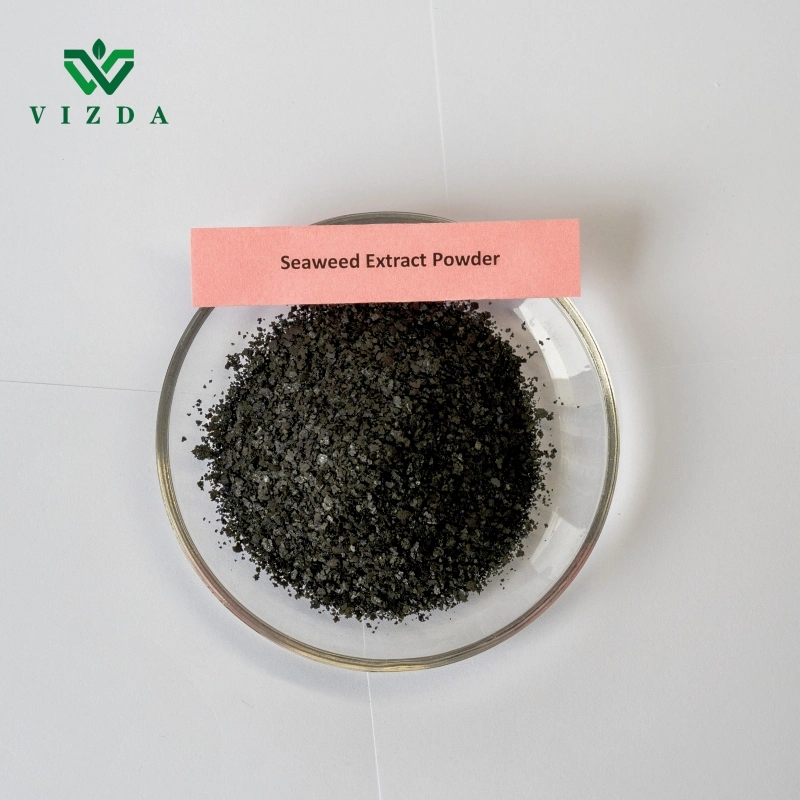 Wholesale/Supplier Factory Price Seaweed Organic Powder/Prill Fertilizer for Agriculture