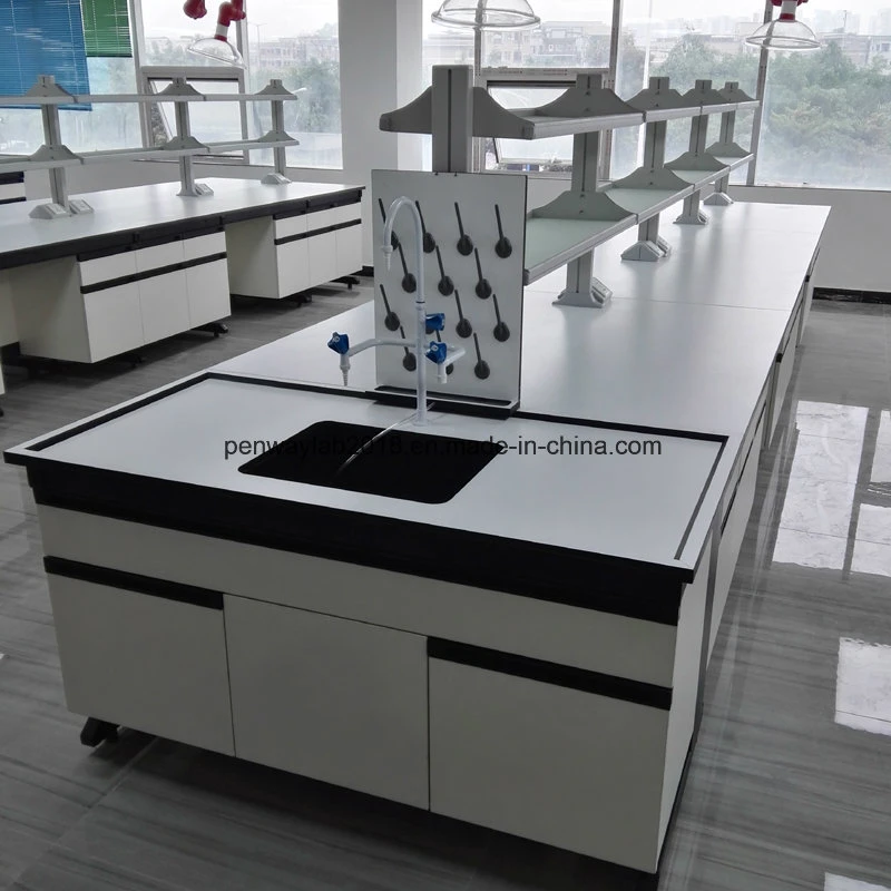 Lab Furniture Supplies Steel and Wood Lab Bench