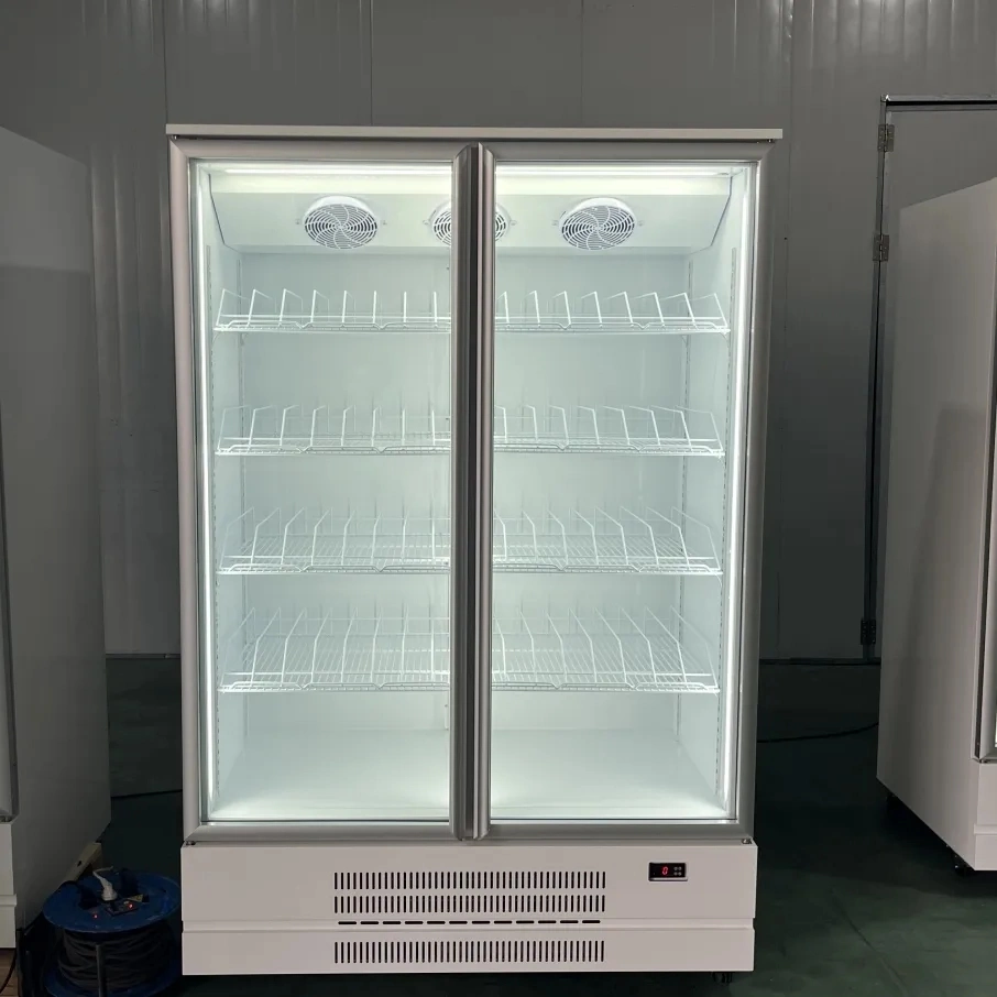 623L Two Glass Door Display Refrigerator Perfect for Commercial Use in Supermarkets