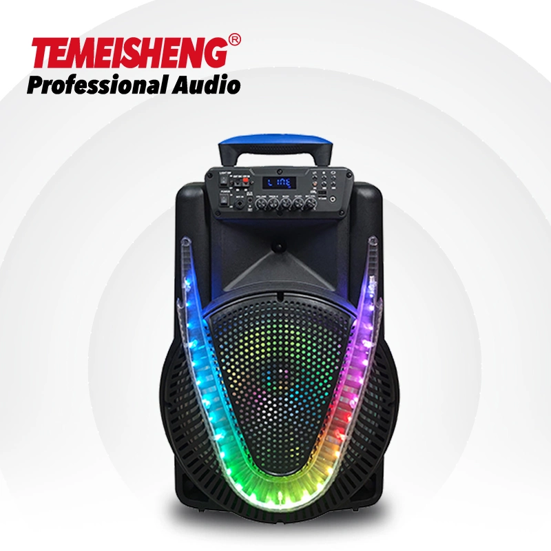Temeisheng 2022 Professional Double12inch LED Light Wireless Karaoke Speaker Bass Sound System for Party Rechargeable Speaker