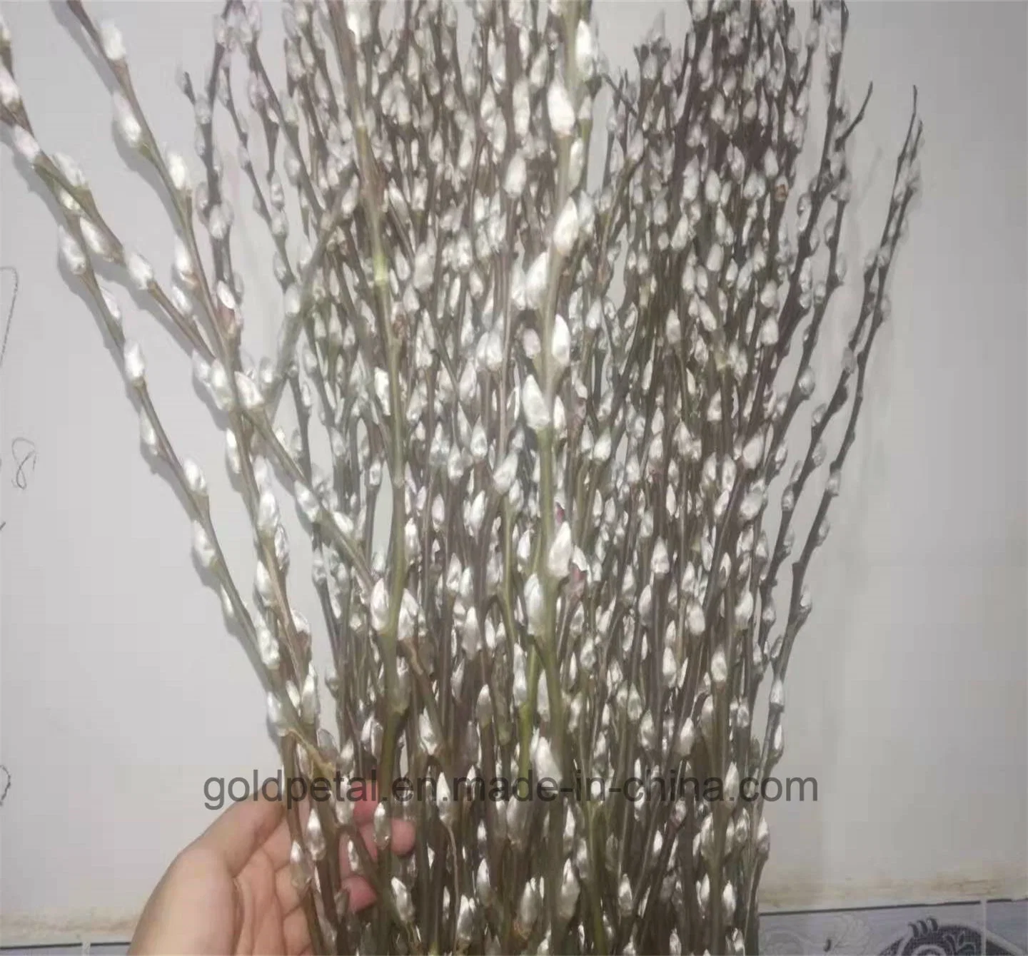 Decoración de Navidad Fresh Flower Natural Silver Pussy Willow