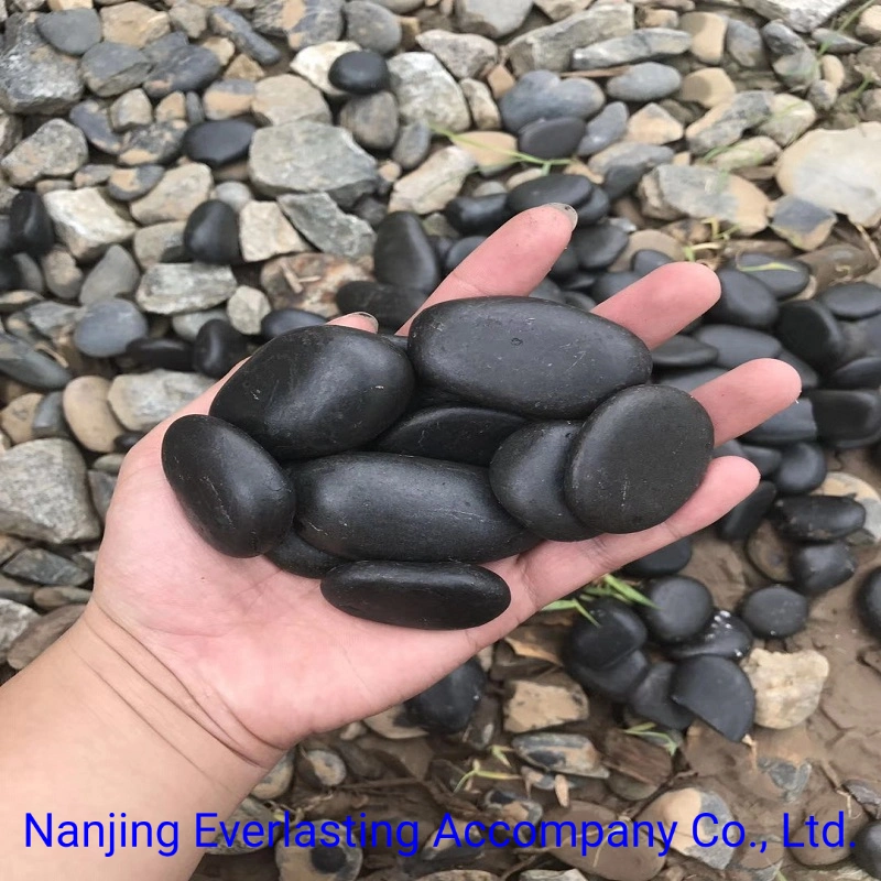 Pure Black Polished Pebble Stone Landscaping River Rock for Garden Decoration