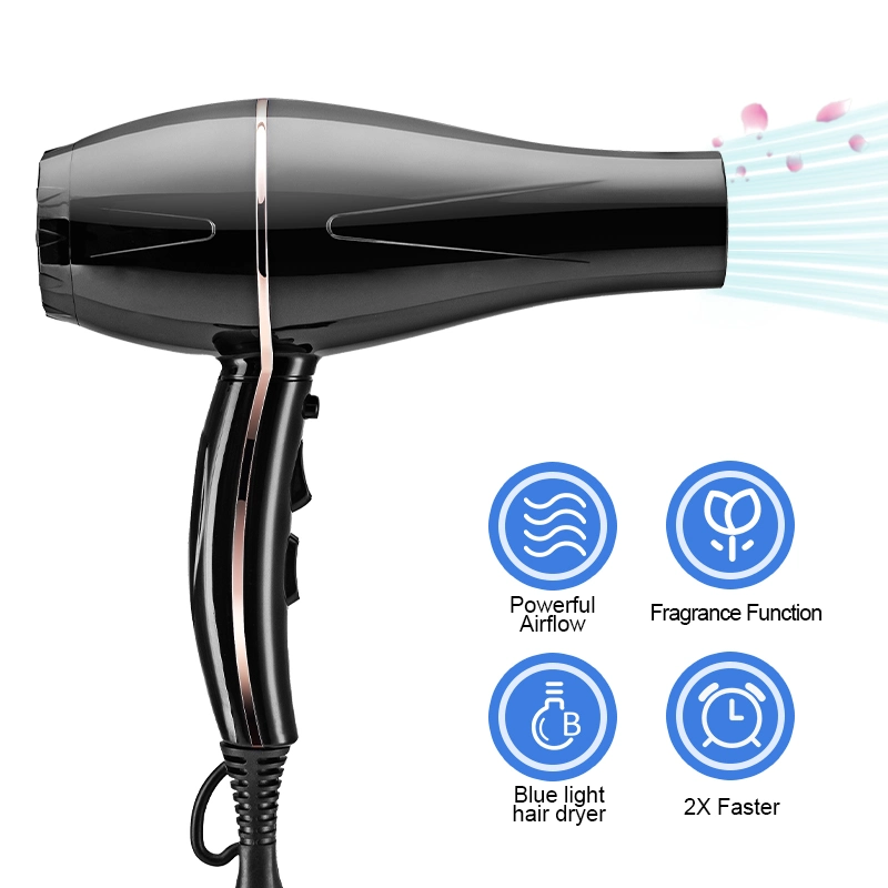 Powerful Airflow Ionic Hair Dryer 2X Faster