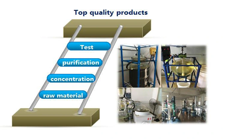 Suministro de fábrica con certificación ISO 99% polvo de fenofibrato