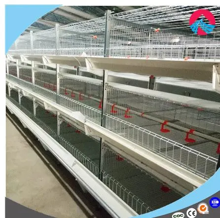 Tipo H automática de las aves de corral de jaulas en batería para la capa pollo granja avícola