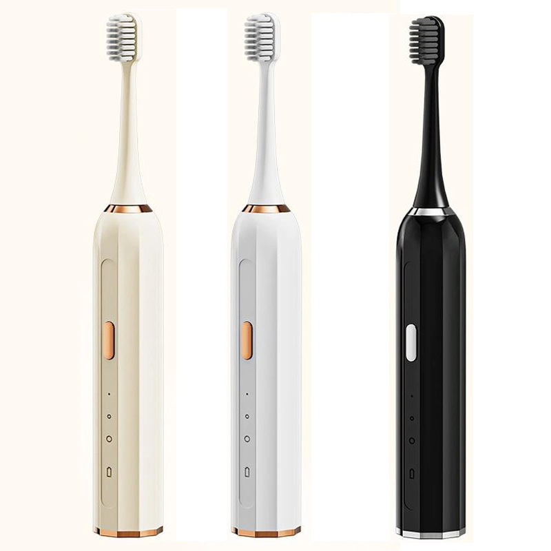 Brosse à dents électrique Sonic pour adulte, en gros, soin buccal, rechargeable automatiquement 3 Modes