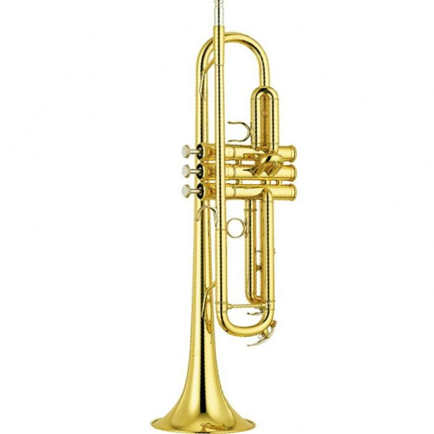 Trompette Brasswind instruments trompette BB Key trompette